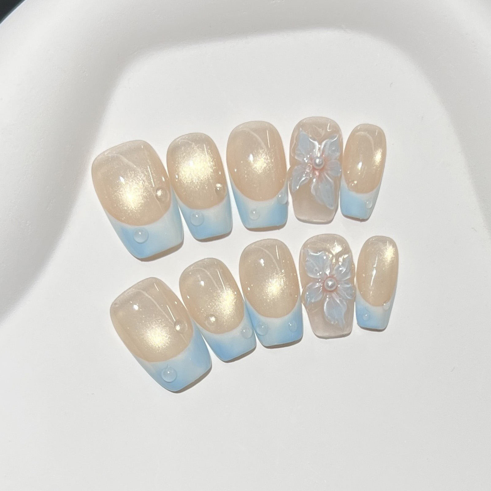 10 stuks Franse blauwe glanzen - Nail Art Glossy recensie en prijs