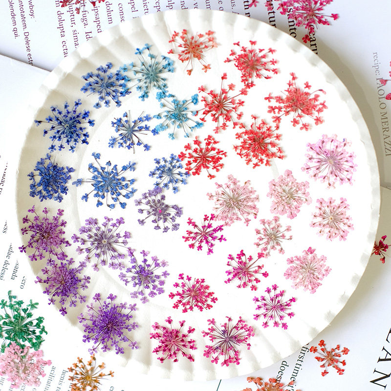 24 stuks, 2-2,5 cm, natuurlijk - Nail Art Natural recensie en prijs