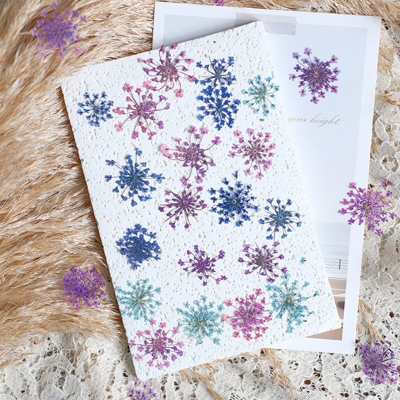 24 stuks, 2-2,5 cm, natuurlijk - Nail Art Natural recensie en prijs