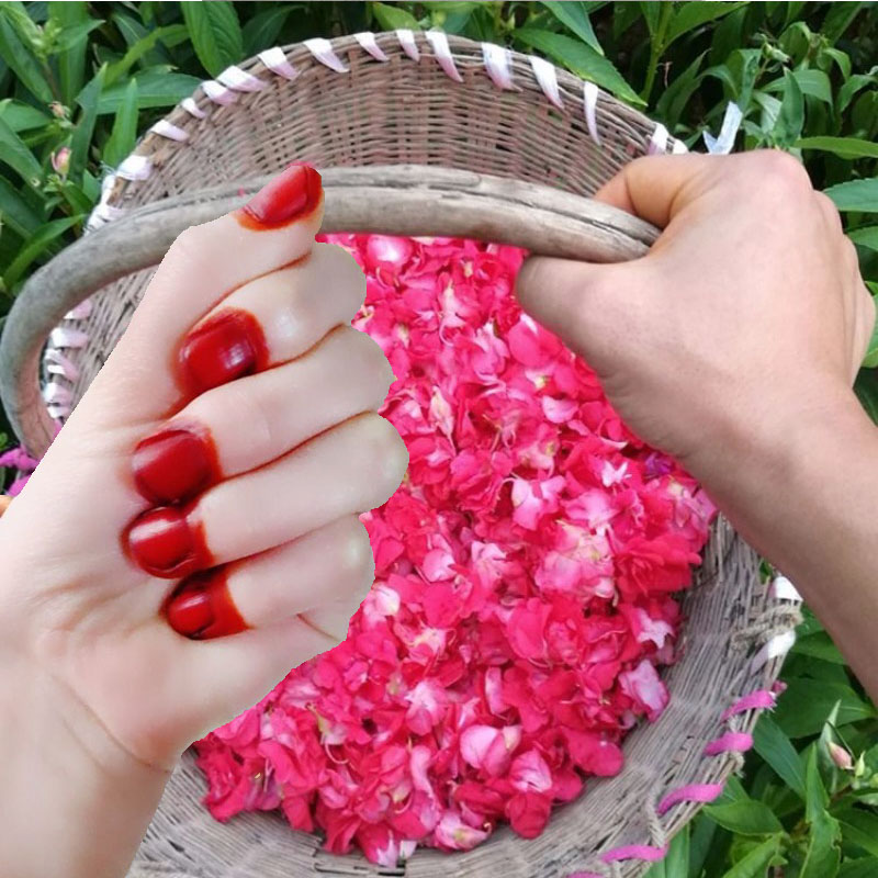40g Henna Nail Dye Poeder Voor - Nail Art Natural recensie en prijs